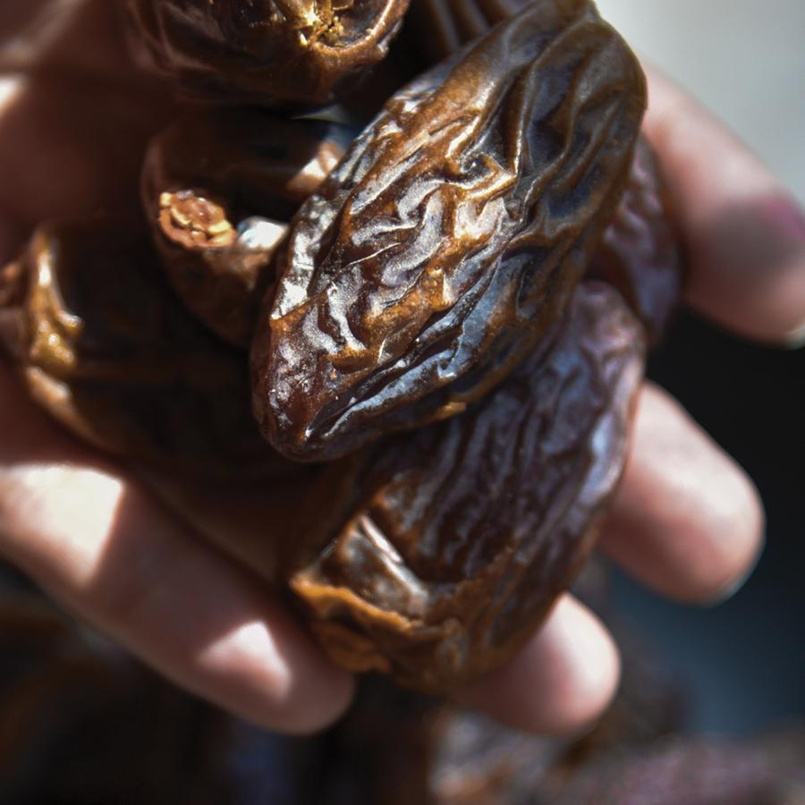دبس التّمر <br> date molasses
