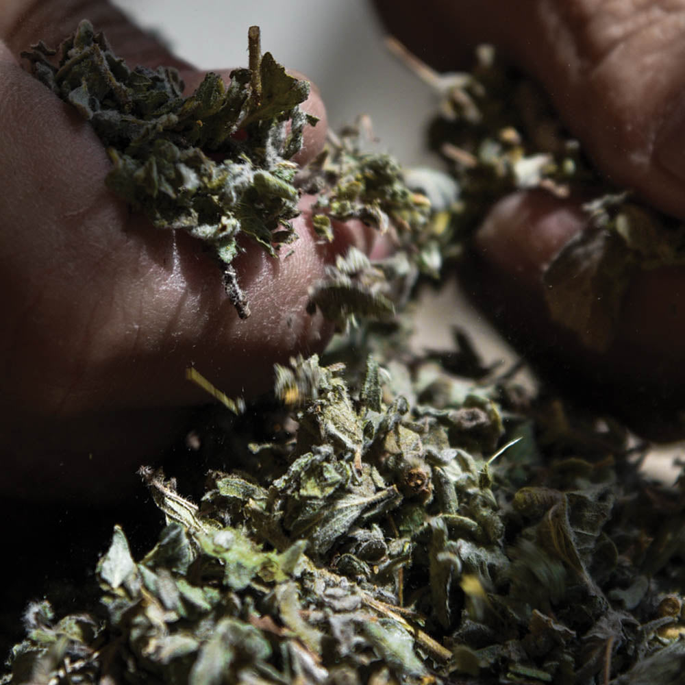 مخلّل الزعتر مع جوز <br>pickled za’atar with walnuts