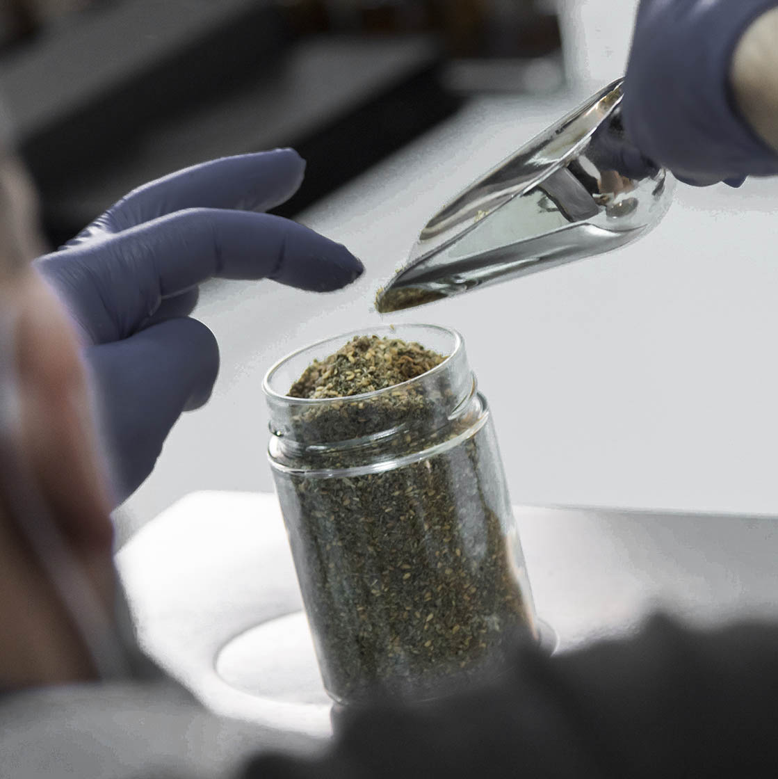 زعتر <br> za’atar