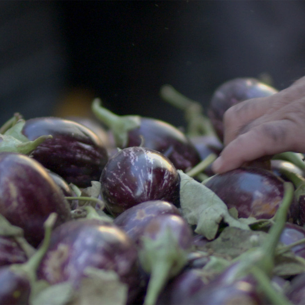 مكدوس <br> makdous