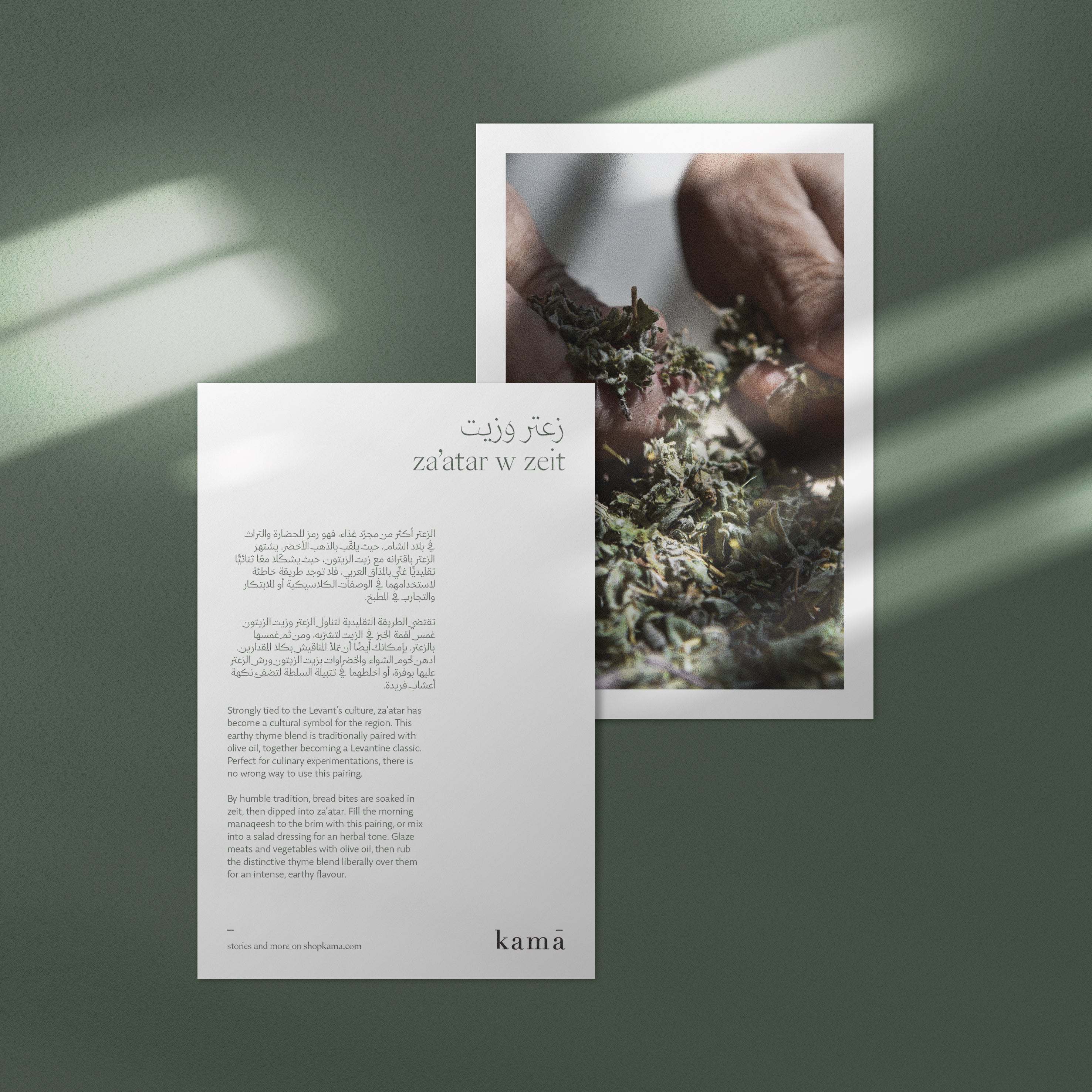 زعتر وزيت <br>za’atar w zeit